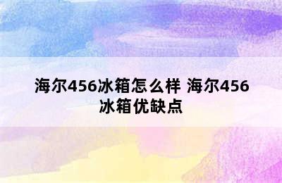 海尔456冰箱怎么样 海尔456冰箱优缺点